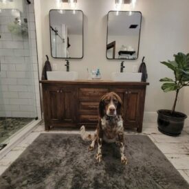Torro Bathroom vanity with dog